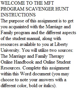 MFT Program Scavenger Hunt Assignment